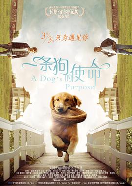 欧美之色